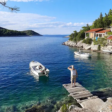 Fjaka Vis